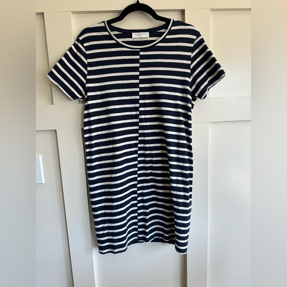 Everlane Cotton Navy and White Striped Mini Dress